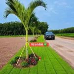 Bán đất nền 100m2 Minh Lập Chơn Thành Đồng Nai 380 triệu - Ảnh thu nhỏ 2