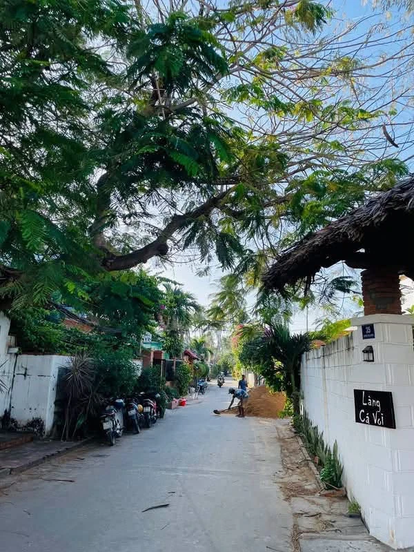 Bán đất 300m2 Hoà Bình, Hàm Tiến, Mũi Né 8,6 tỷ