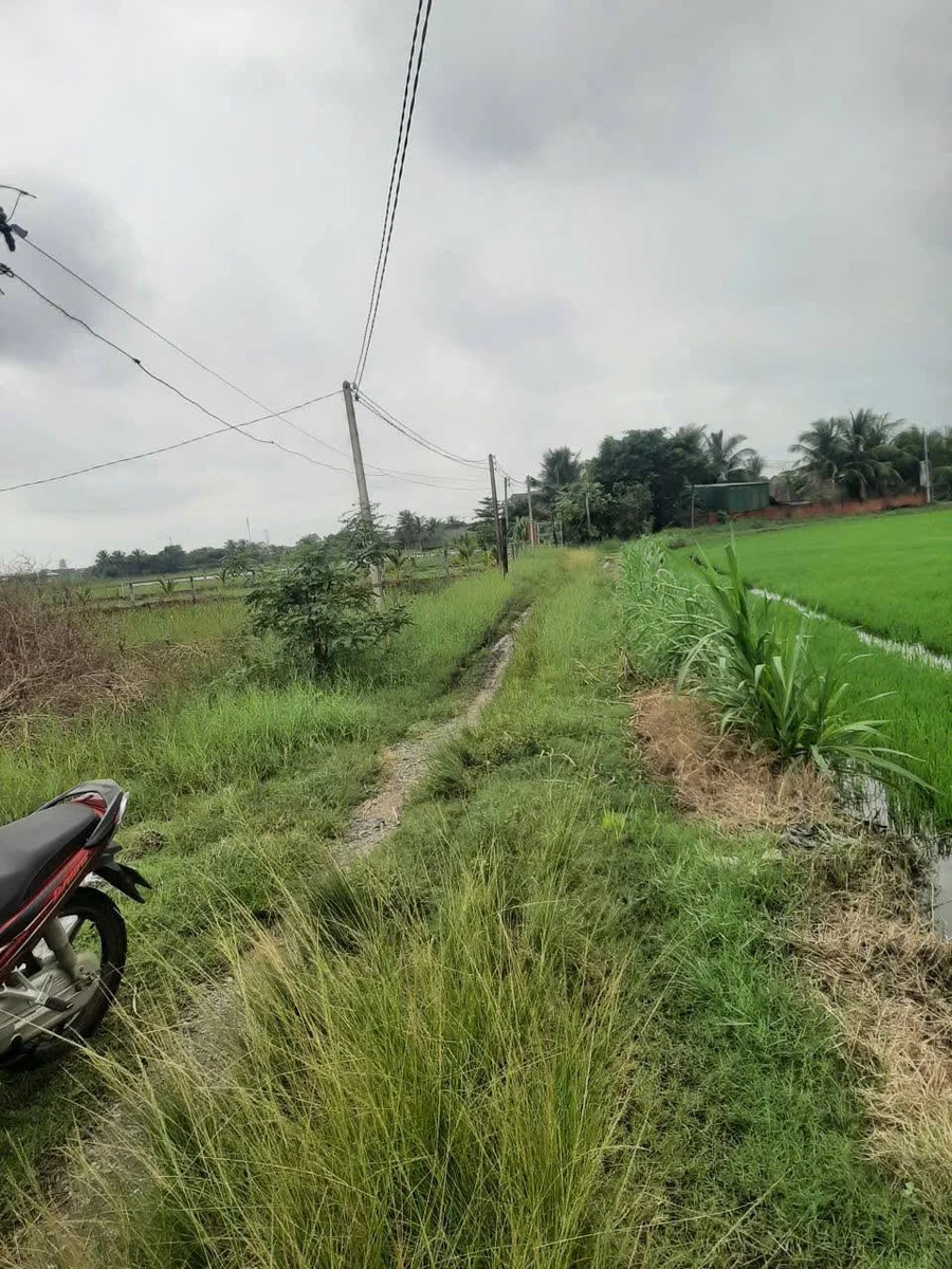 Bán 5.100m² đất 55m mặt tiền Tây Ninh 3,4 tỷ - Ảnh thu nhỏ 4