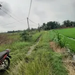 Bán 5.100m² đất 55m mặt tiền Tây Ninh 3,4 tỷ - Ảnh thu nhỏ 4