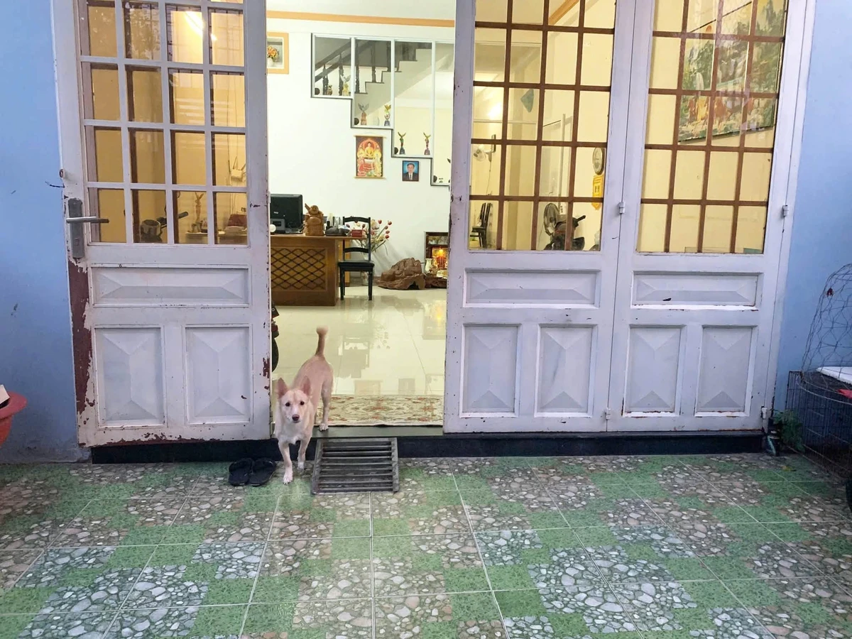 Bán nhà 1 trệt 1 lầu 100m² Phan Thiết 3 tỷ 7 - Ảnh thu nhỏ 2