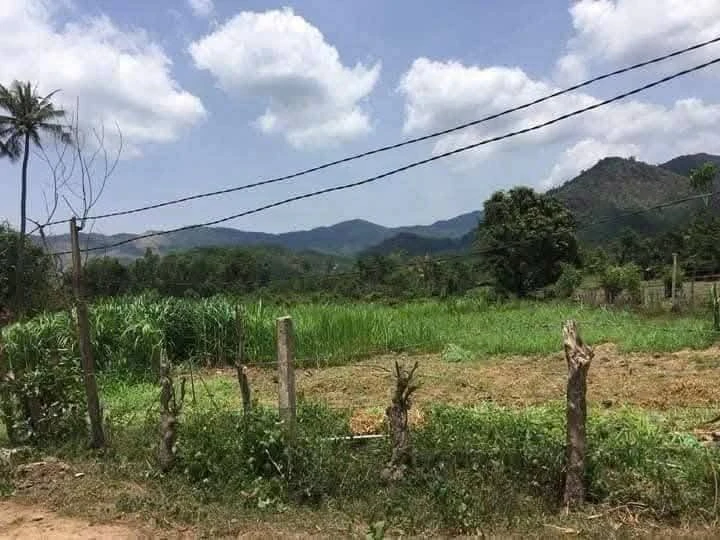 Bán lô đất 7200m² ngang 62m tại Bình Định