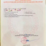 Bán lô đất mặt tiền 86m2 Đức Thắng Nam Đồ Sơn Hải Phòng - Ảnh thu nhỏ 1