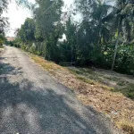 Bán đất tại xã Phú Quới, huyện Long Hồ, Vĩnh Long, giá siêu hời 3,9 tỷ, 1169,2 m2 - Ảnh thu nhỏ 13