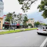 Bán lô đất mặt tiền 75m² Nguyễn Văn Linh, Hải Dương - Ảnh thu nhỏ 1
