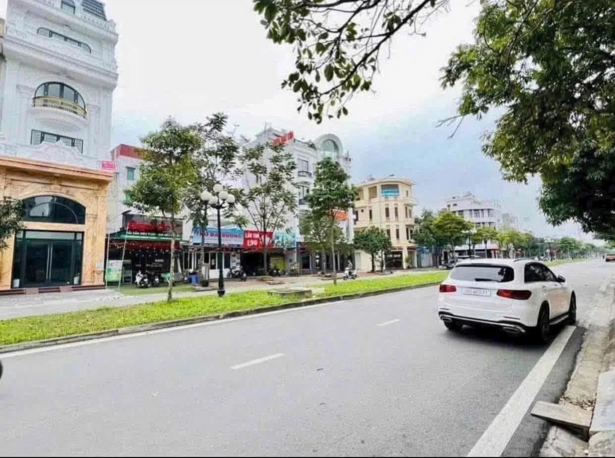 Bán lô đất mặt tiền 75m² Nguyễn Văn Linh, Hải Dương - Ảnh 1