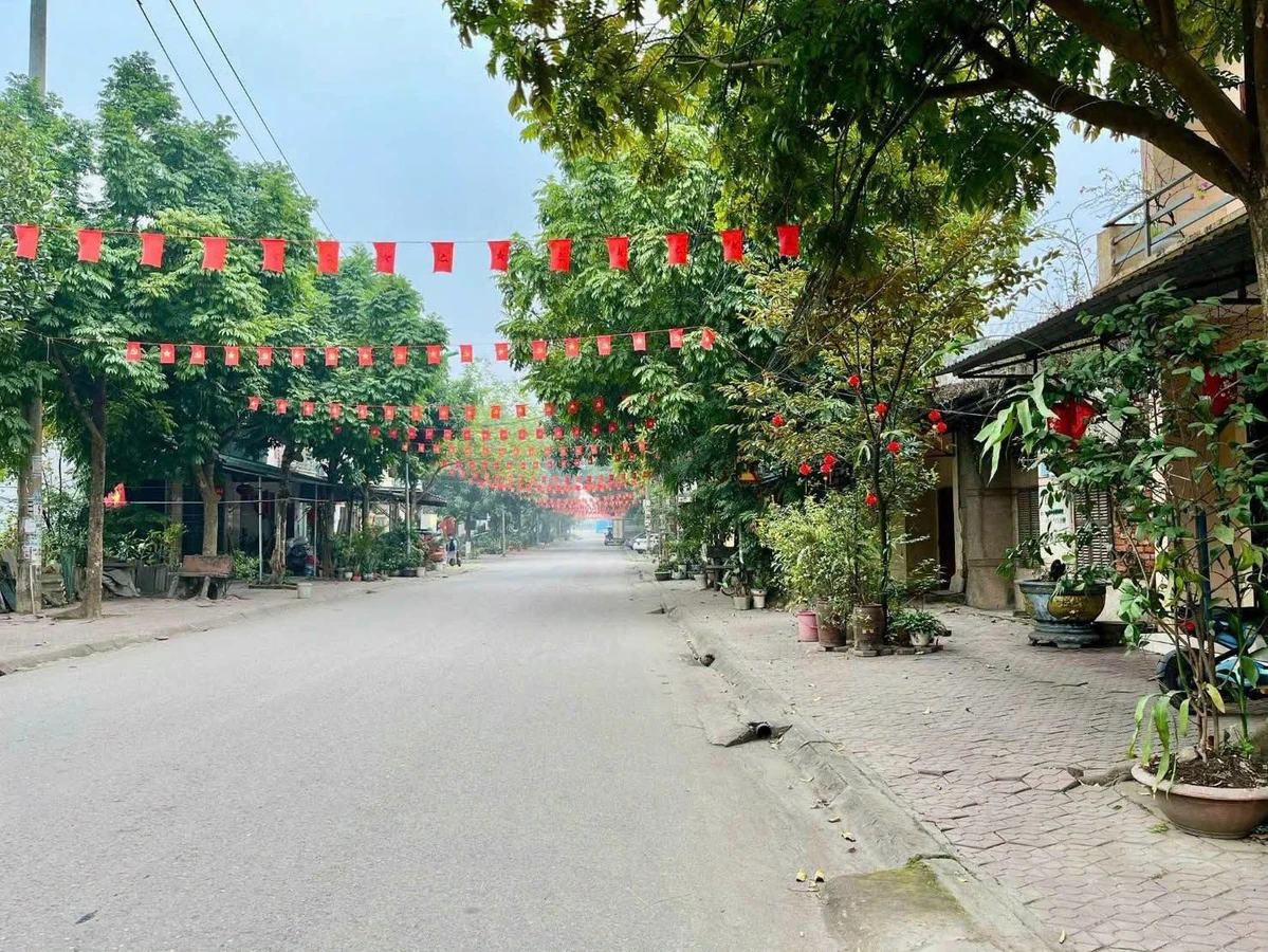Bán đất Nhà Bè 120m² mặt tiền 6m Hồng Hà Thanh Miếu - Ảnh thu nhỏ 2