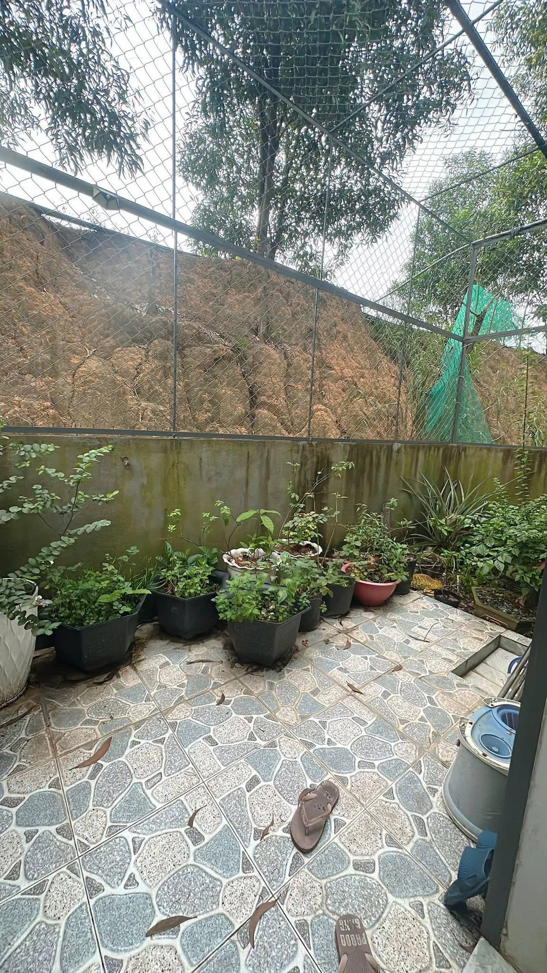 Bán nhà 2 phòng ngủ 110m² Tam Phước, Đồng Nai 850 triệu - Ảnh 1