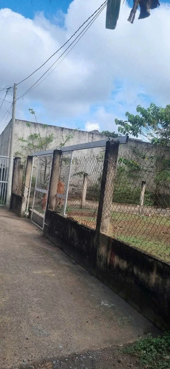 Bán đất thổ cư 6x24m (144m2) sổ hồng riêng giá 1,9 tỷ tại Tân Quý Tây, Bình Chánh - Ảnh thu nhỏ 2