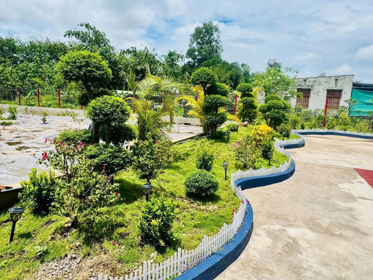 Bán nhà vườn 1800m² An Thái Phú Giáo giá 3 tỷ 5 - Ảnh thu nhỏ 4