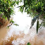 Bán đất 1000m2 mặt tiền 13.4m Xã Nghĩa Thành 1 tỷ 5 - Ảnh thu nhỏ 4