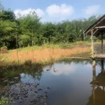 Bán 5ha đất nhà vườn Đồng Xoài, có suối, sinh thái - Ảnh thu nhỏ 3