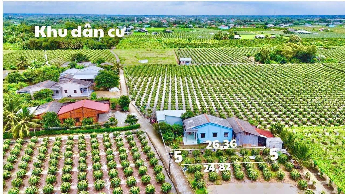 Bán đất full thổ cư Thanh Phú Long Long An 124m², 399 triệu - Ảnh thu nhỏ 2