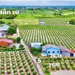 Bán đất full thổ cư Thanh Phú Long Long An 124m², 399 triệu - Ảnh thu nhỏ 2