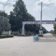 Chủ bán nhanh dãy trọ 10 phòng thu nhập ổn định. Giá 850Tr ở đối diện KCN Trảng Bàng - Tây Ninh - Ảnh thu nhỏ 11