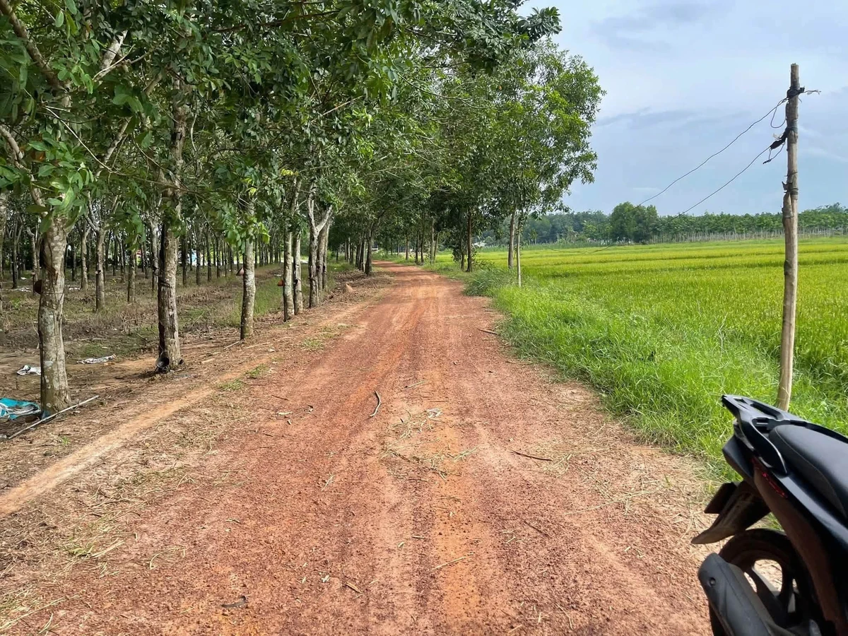 Bán đất gò cao 400 m² tại Châu Thành, Tây Ninh 1 tỷ 50 triệu - Ảnh thu nhỏ 3