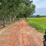 Bán đất gò cao 400 m² tại Châu Thành, Tây Ninh 1 tỷ 50 triệu - Ảnh thu nhỏ 3