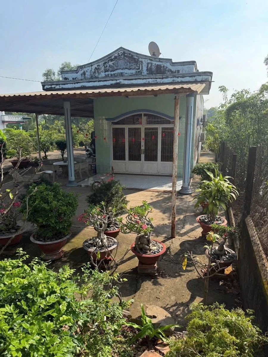 Bán nhà vườn 705m² tại xã Tân Nhựt Bình Chánh, giá 8 tỷ - Ảnh 1