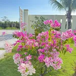 Nhà vườn 1.600m² giá 1 tỷ 790 tại Lâm Đồng - Ảnh thu nhỏ 4