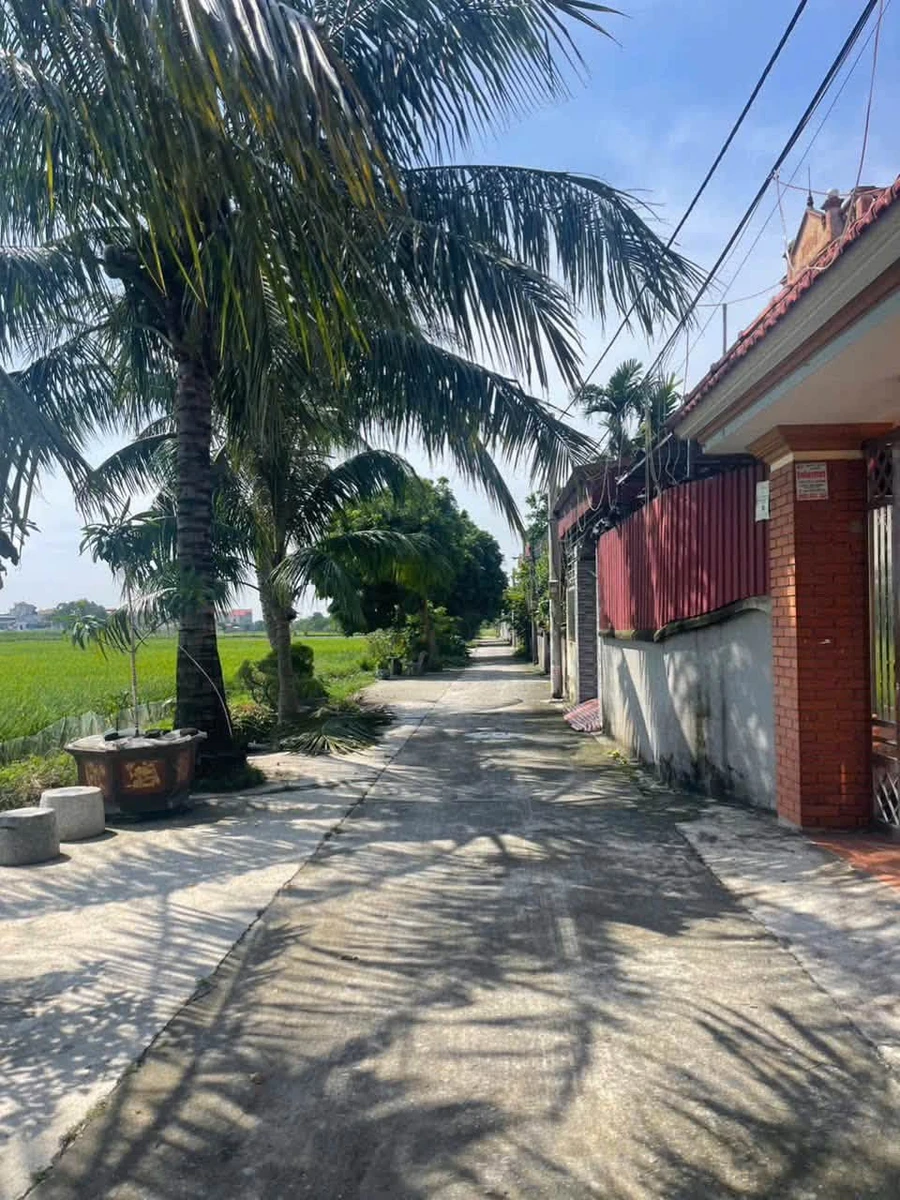 Bán lô đất 115m² Xã Mao Điền, Hải Phòng 1,9 tỷ - Ảnh thu nhỏ 3