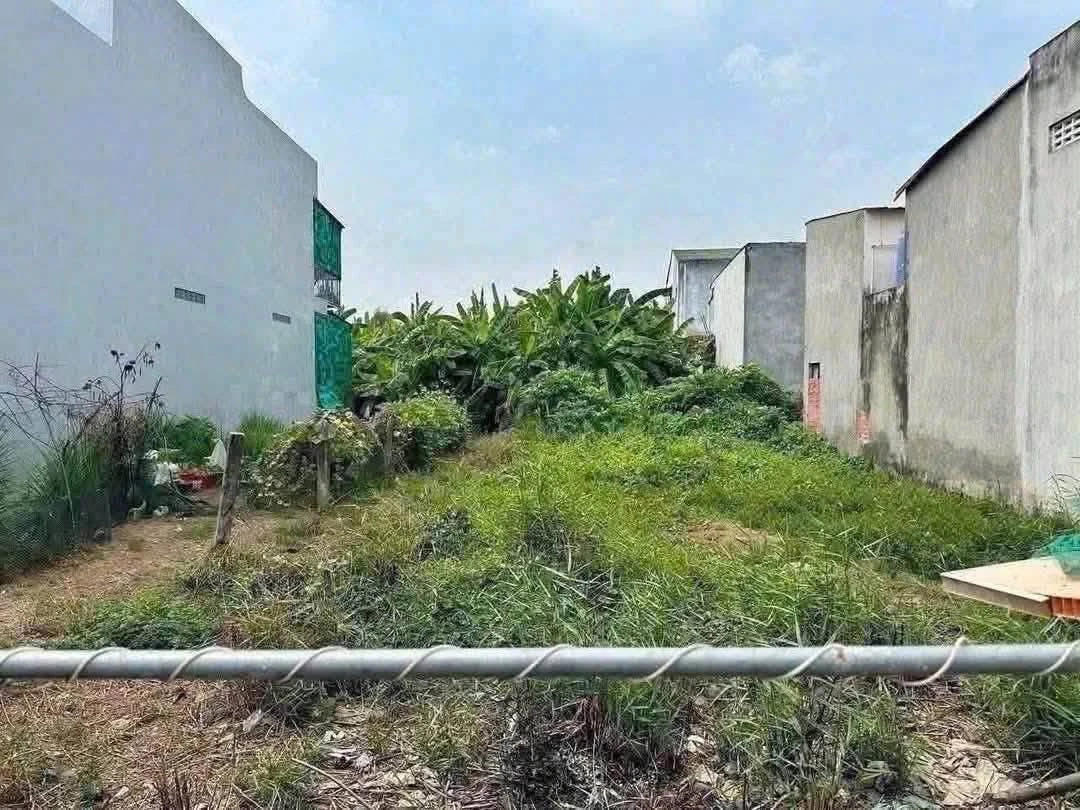 Bán đất hẻm Nguyễn Văn Tiếp 4x24m (96m2) giá 770 triệu, Phường 5, Tân An, Long An - Ảnh thu nhỏ 2