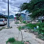 Bán đất 120m² full thổ cư Giao Long Vĩnh Long 1 tỷ 350 - Ảnh thu nhỏ 2