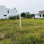 Bán lô đất 99m² Diên Lạc Bình Chánh, 690 triệu - Ảnh thu nhỏ 3