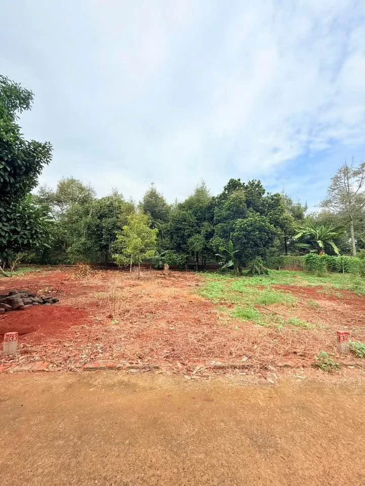 Bán đất full thổ cư Hàng Gòn 100m² – 610 triệu - Ảnh thu nhỏ 3