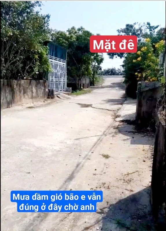 Bán đất Tiền Hải Thái Bình gần đê biển 100m² giá 420 triệu