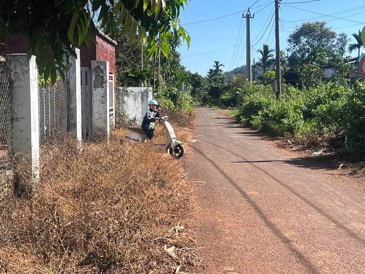 Bán lô đất hẻm 205, Nguyễn Thái Bình, Bình Tân, 100m2, 1 tỷ - Ảnh 1