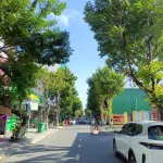 Lô đất mặt tiền Lê Lộ ngay phố Tây An Thượng | Vị trí đẹp Đà Nẵng - Ảnh thu nhỏ 4