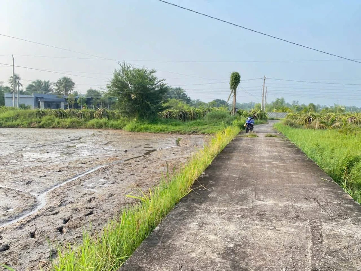 Bán 300m² đất thổ cư Hàm Đức, Bình Thuận 800 triệu - Ảnh thu nhỏ 4