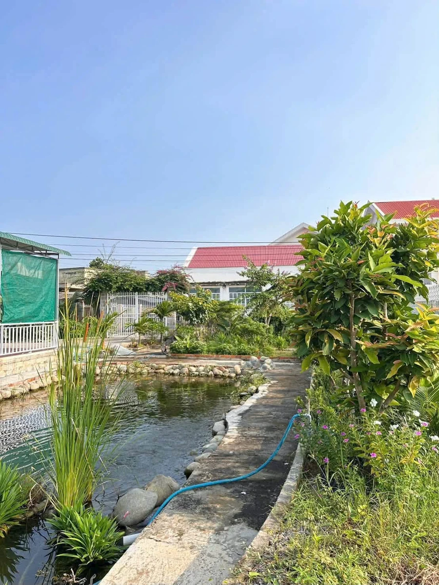 Bán nhà vườn Phường Bình Thuận 440m² lô góc 2 mặt tiền - Ảnh thu nhỏ 3