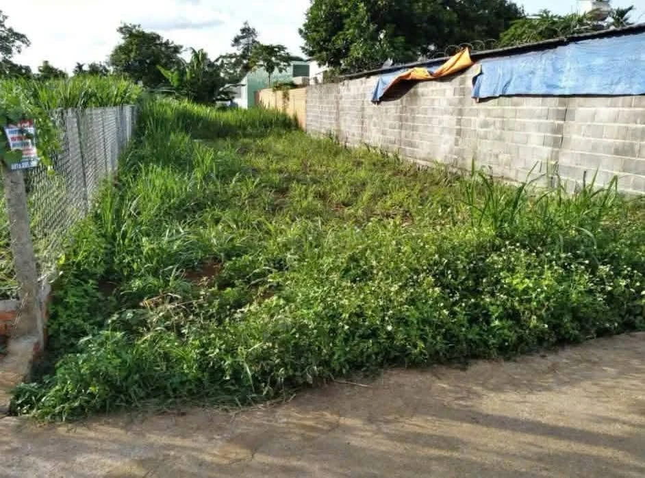Bán đất Quận 12 bên chợ Đạt Lý 221m2, 2 tỷ 150 - Ảnh thu nhỏ 2