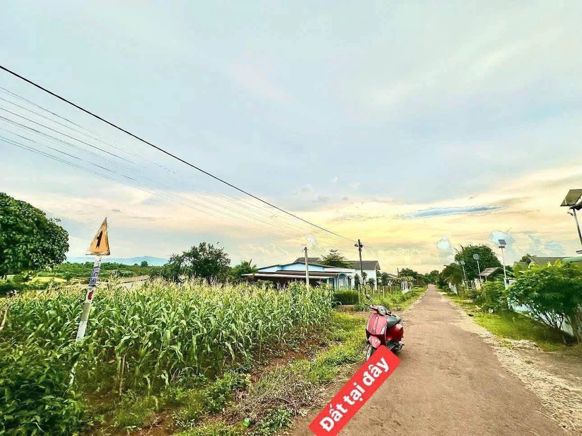 Bán lô đất Eba City Thôn 5, 210m², 500 triệu - Ảnh thu nhỏ 2