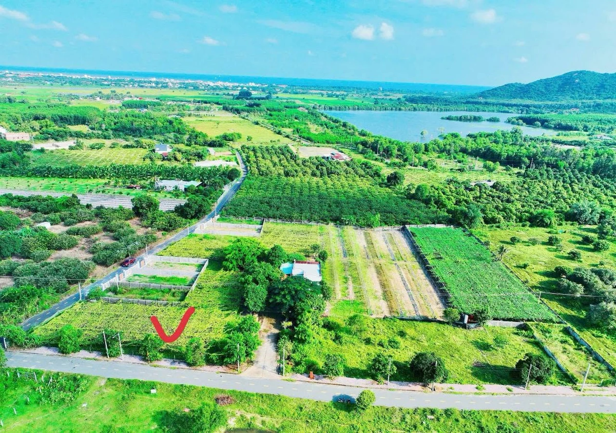 Đất bán 241,3m² Phước Hải Long Đất, view núi hồ - Ảnh thu nhỏ 5