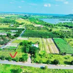 Đất bán 241,3m² Phước Hải Long Đất, view núi hồ - Ảnh thu nhỏ 5