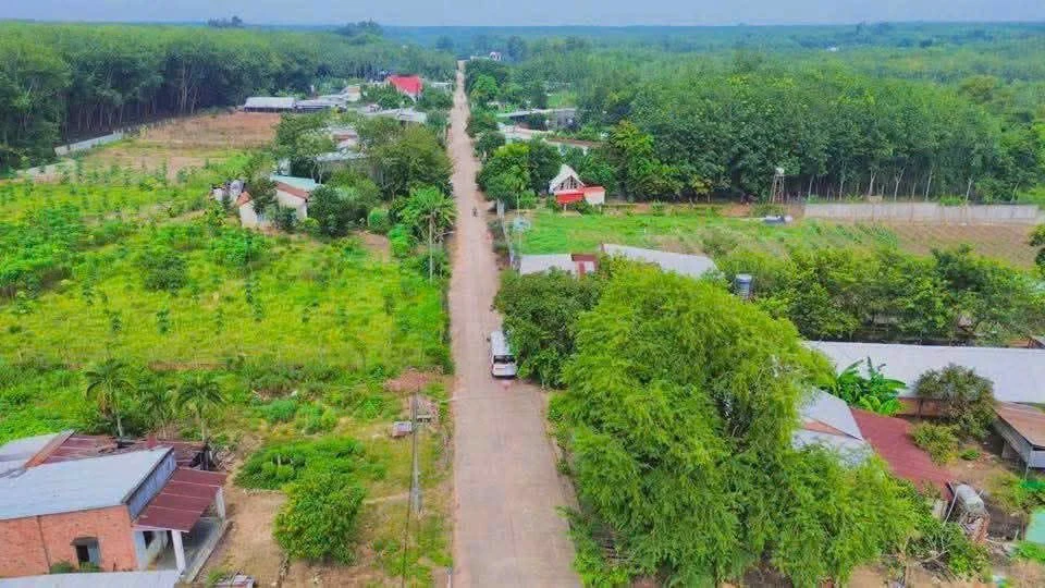 Bán đất Bê Tông Tân Long Bình Chánh 450m² - Ảnh 1
