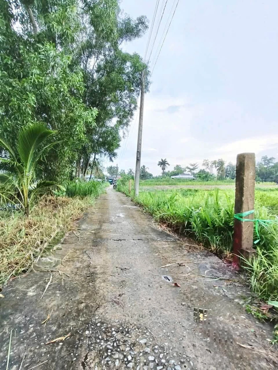 Bán 2000m² đất vườn 2 mặt tiền tại Tân An, Long An - Ảnh 1