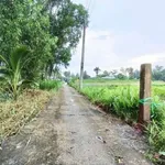 Bán 2000m² đất vườn 2 mặt tiền tại Tân An, Long An - Ảnh thu nhỏ 1