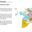 Mr. Hiếu DIC - Bán lô đất nền dự án DIC Victory City Cần Thơ 95m2 (5x19m). Giá: 12 triệu/m2 - Ảnh thu nhỏ 22