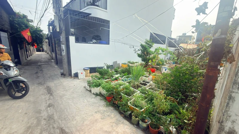 Bán đất Vĩnh Hòa Nha Trang 45m² sổ hồng, 1,82 tỷ