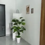 Bán nhà 3 tầng 170m2 mặt tiền Lương Thế Vinh Quận 7 - Ảnh thu nhỏ 5