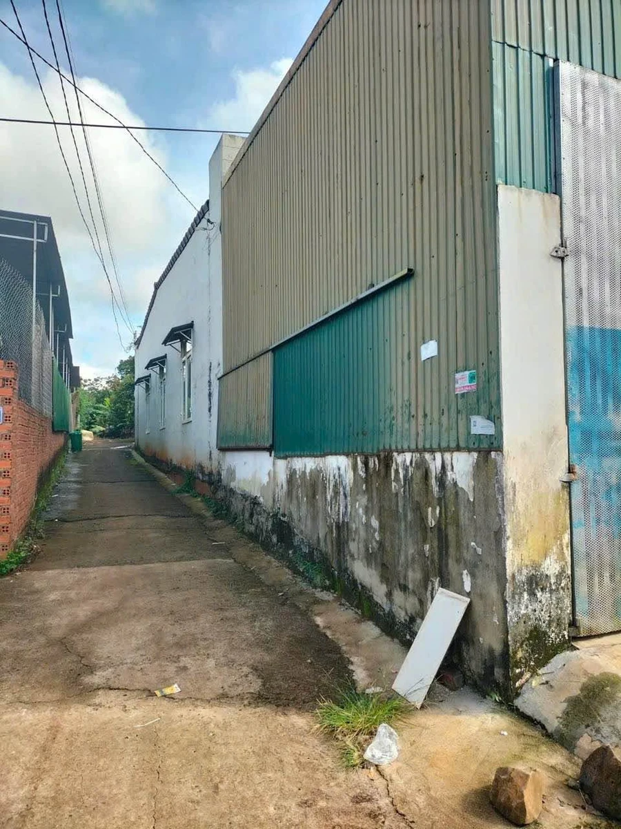 Bán nhà 2 mặt tiền 122m² Nguyễn Xuân Nguyên, Đắk Lắk 3.15 tỷ - Ảnh thu nhỏ 3