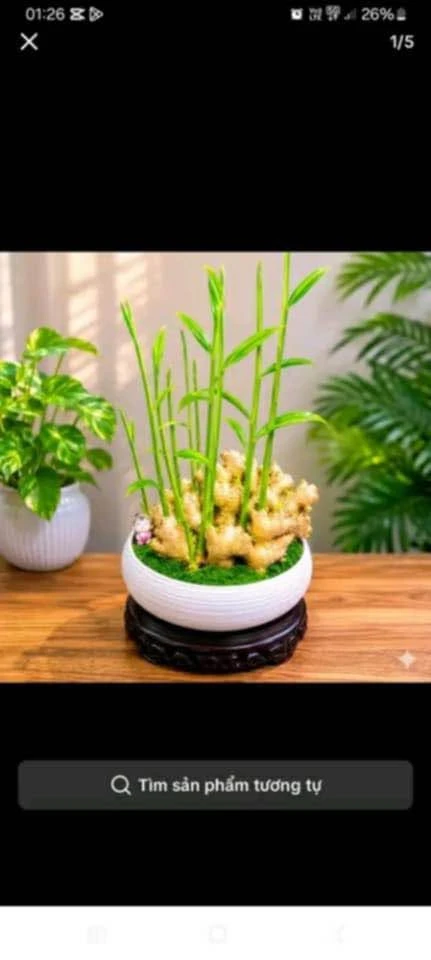 Bán đất 125m² sổ riêng thổ cư 100% Hố Nai, Đồng Nai - Ảnh 1