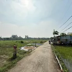 Bán đất nhà vườn 725,3m² mặt tiền đường Lê Văn Bụi, Đức Tân, Tân Trụ, giá 1,3 tỷ - Ảnh thu nhỏ 3