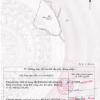 8 sào gỗ tếch tại huyện Cư Mgar, Đắk Lắk - Ảnh thu nhỏ 20