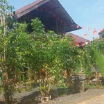 Bán đất 2.958m² kinh doanh homestay tại Buôn Ma Thuột 13,9 tỷ - Ảnh thu nhỏ 2