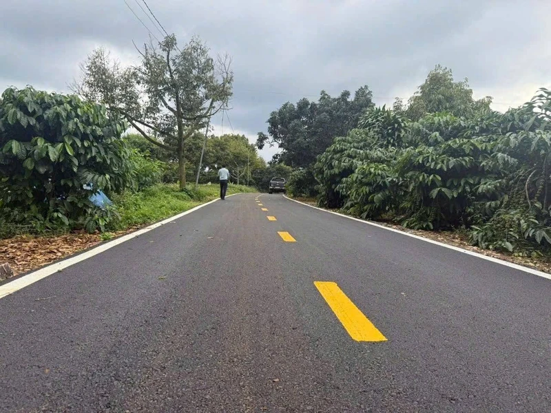 Bán 20 lô đất Bảo Lâm, 4.561m2, giá 8 tỷ