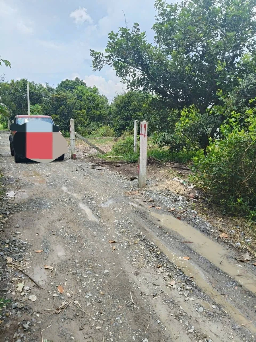 Bán đất 70m² tại Trường Hòa, Tây Ninh 250 triệu - Ảnh thu nhỏ 4